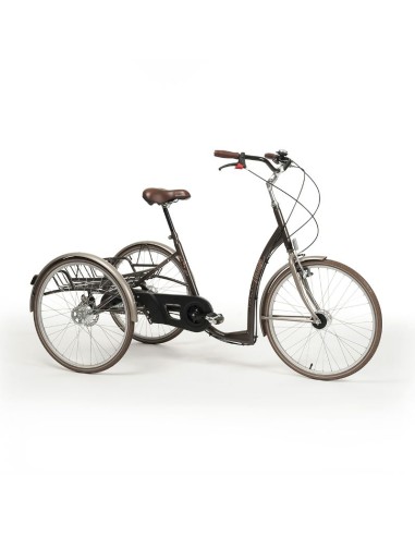 Triciclo para adulto estilo retro Vintage 2219