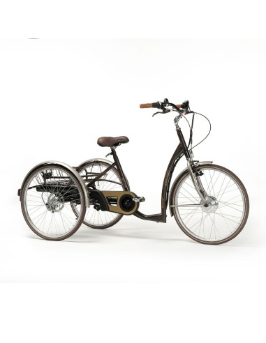Triciclo eléctrico para adulto Vintage 2219E